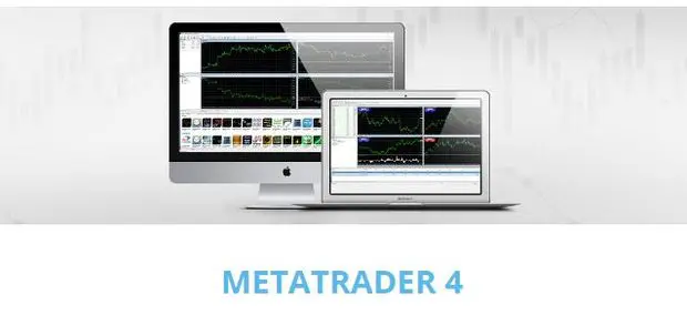 FXB Trading reviews on trading in the Metatrader 4 terminal
