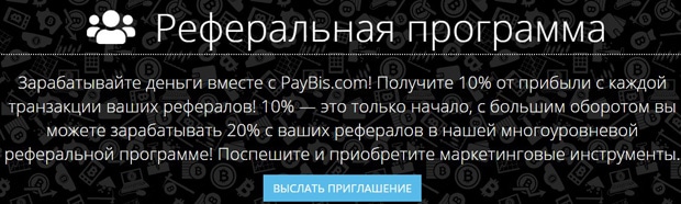 PayBis referral program