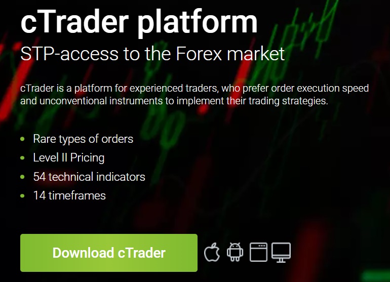 RoboForex broker trading terminals