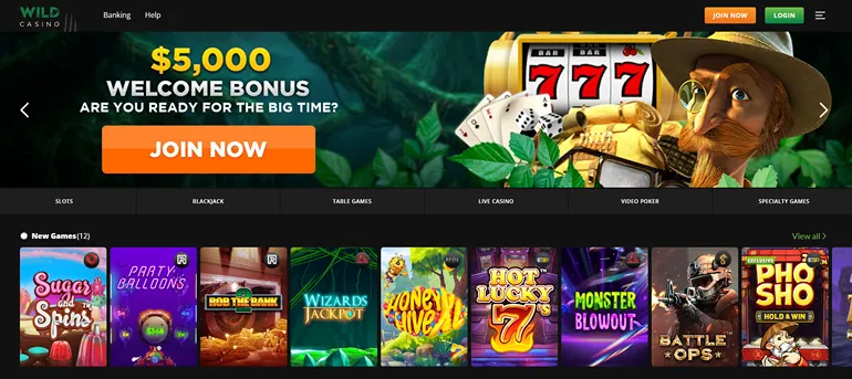 Situs web resmi Wild Casino