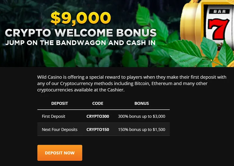 Bonus crypto Wild Casino