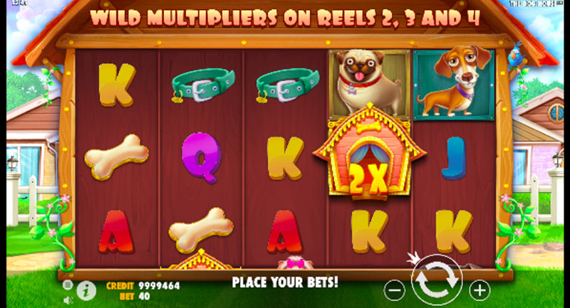 Zrzuty ekranu z gry The Dog House: Multiplier