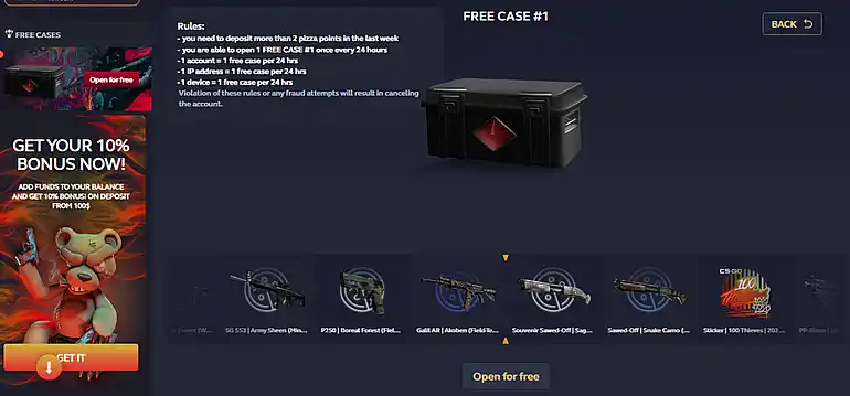 HotPizza free case