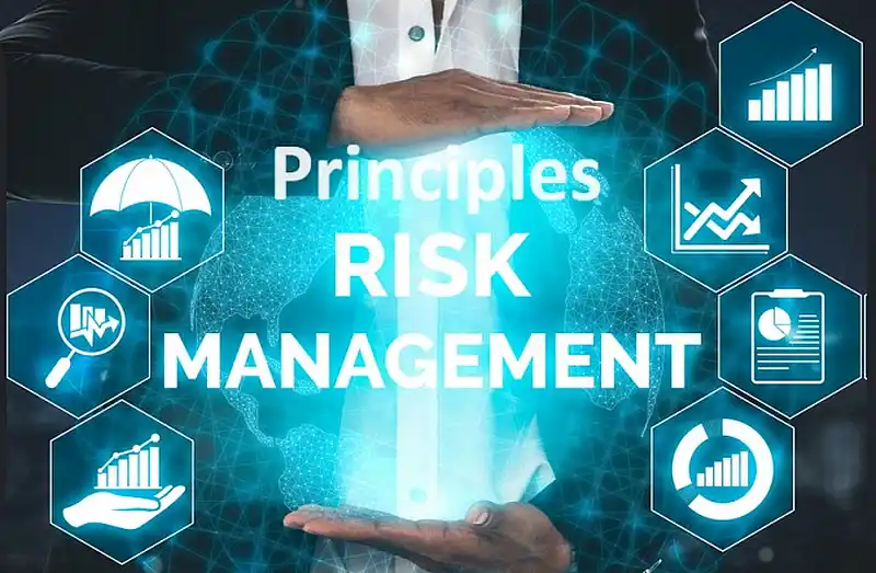 Principles of Risk Management