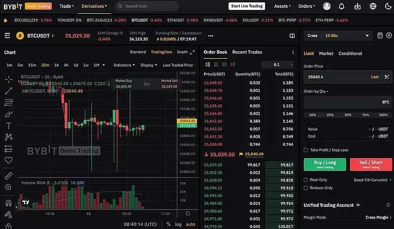 ByBit Demo Interface