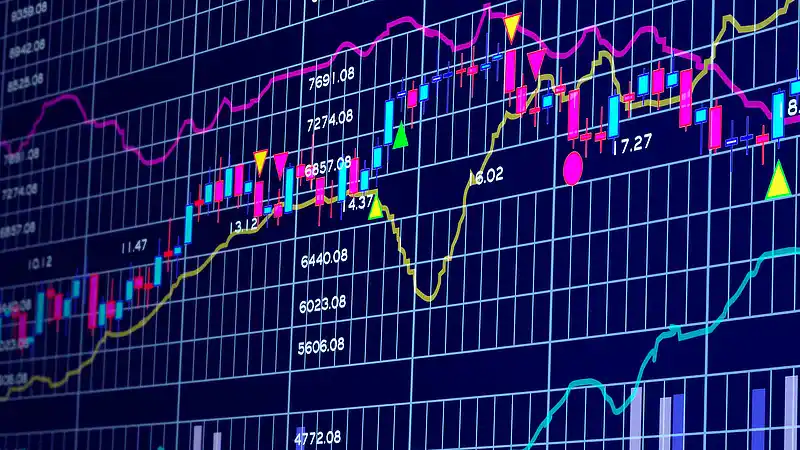 Capital Management 