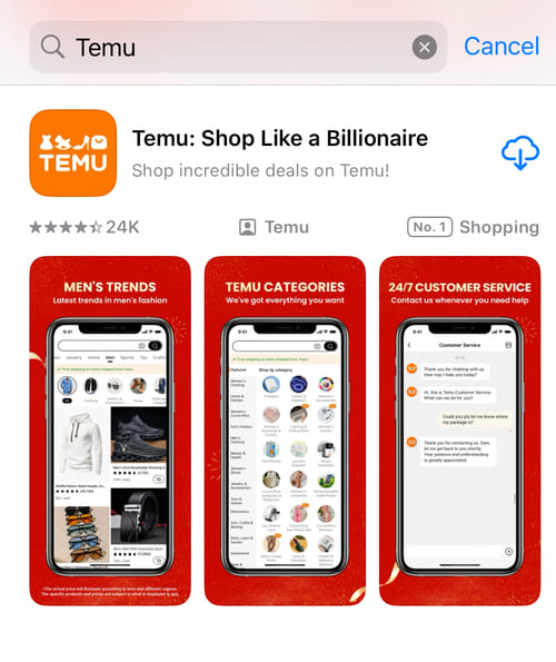 Temu app on iPhone